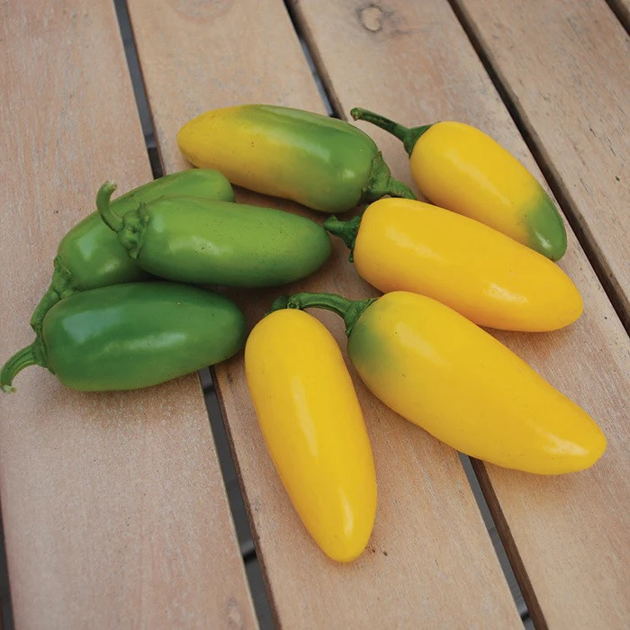 Lemon Spice Jalapeño Pepper Seeds | Holmes Seed Company