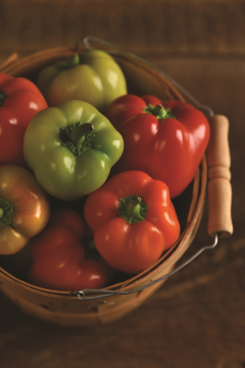 Holmes Seed Company Prism Pepper - Thumbnail 2