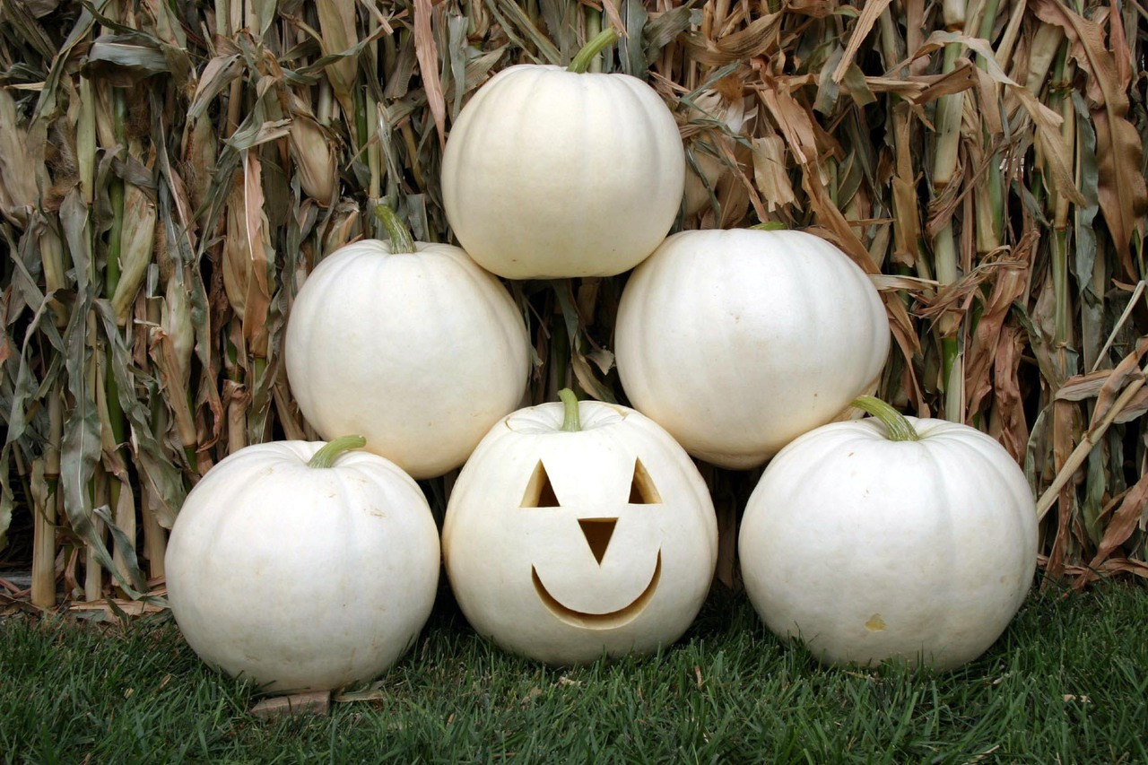 pumpkinホワイト キャビネット pumpkinホワイト キャビネット White Ceramic Pumpkin | Hobby
