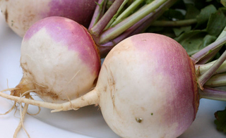 Turnip - Open Pollinated (OP)