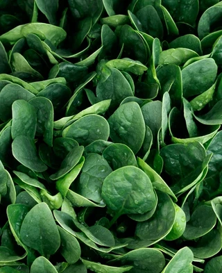 Spinach - Hybrid