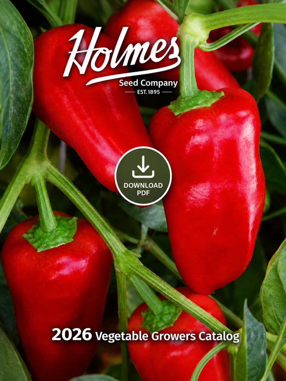 Catalog View / Download
