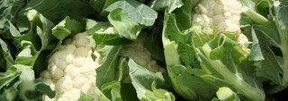 Cauliflower