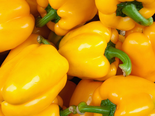 Sweet Peppers - Bell Misc. Color - Open Pollinated