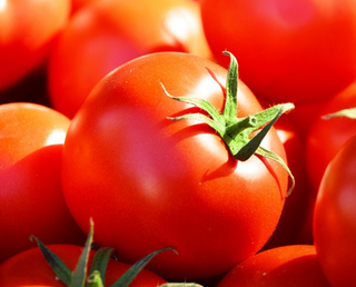 Tomato - Red Fresh Market - Determinate