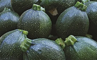 Summer Squash - Round Green Zucchini