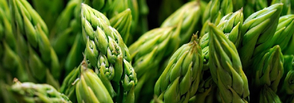 Asparagus