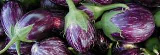 Eggplant