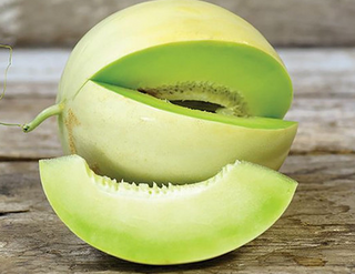 Melon - Honeydew