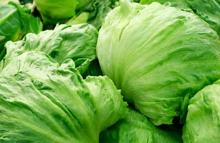 Lettuce - Iceberg / Crisphead