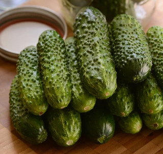 Cucumber - Pickle