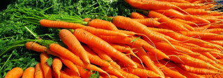 Carrots