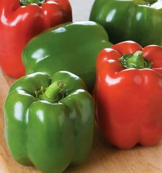 Sweet Peppers - Bell - Green to Red