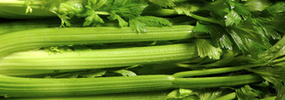 Celery