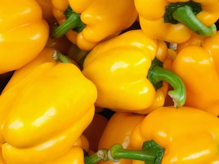Sweet Peppers - Bell Misc. Color - Open Pollinated