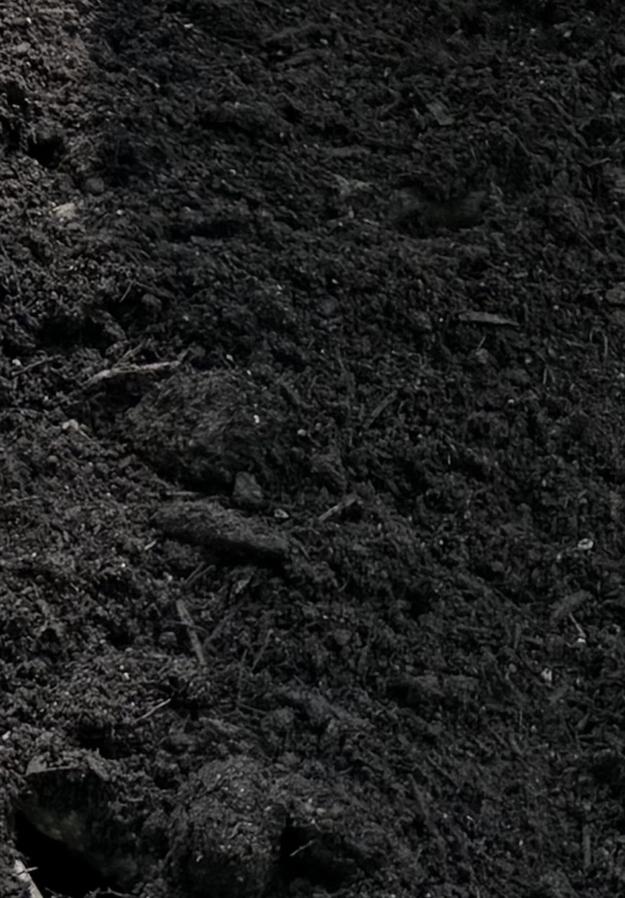 Why, When & How to Test Your Soil