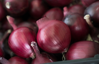 Onion