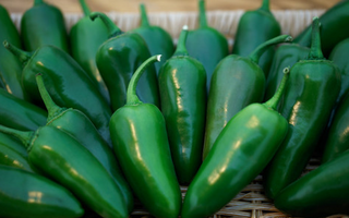 Hot Peppers - Jalapeno - Hybrid