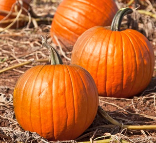 Pumpkins