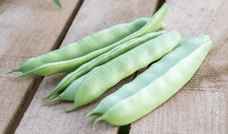 Beans - Flat - Romano Type