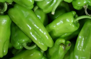 Sweet Peppers - Cubanelle