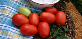 Tomato - Roma - Determinate - Red - Hybrid