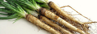Salsify