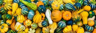 Gourds