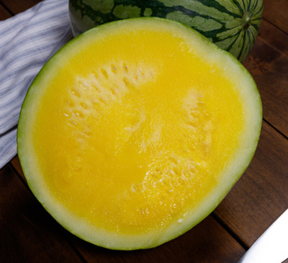 Watermelon - Triploid (Seedless) - Hybrid - Yellow