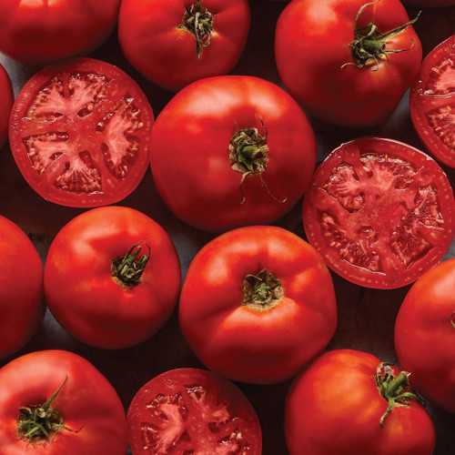 Burpee Big Boy Hybrid Tomato
