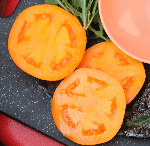 BHN 871 F1 Tomato Seeds | Holmes Seed Company