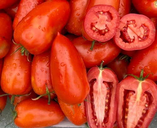 Amalfi F1 Tomato
