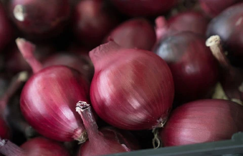 Onion bulbs