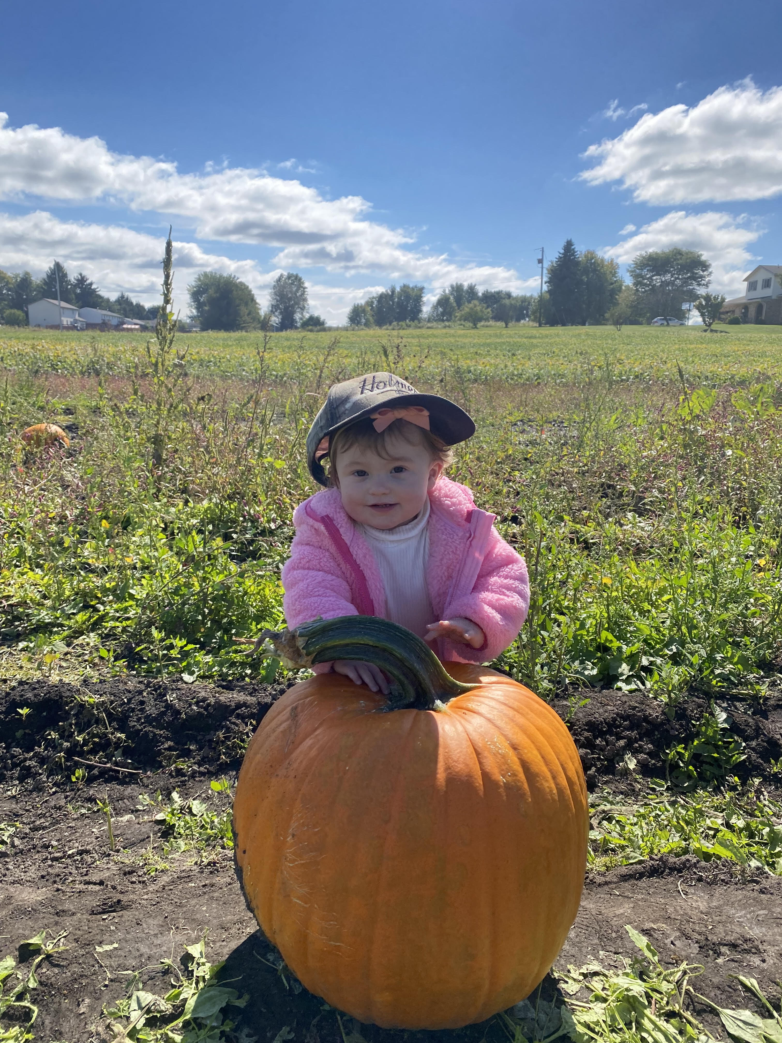 Pumpkin Growing Guide