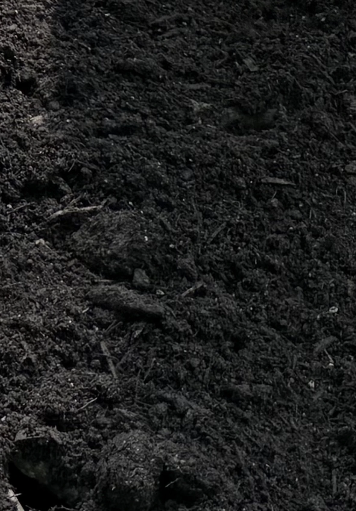 Soil from a production field
