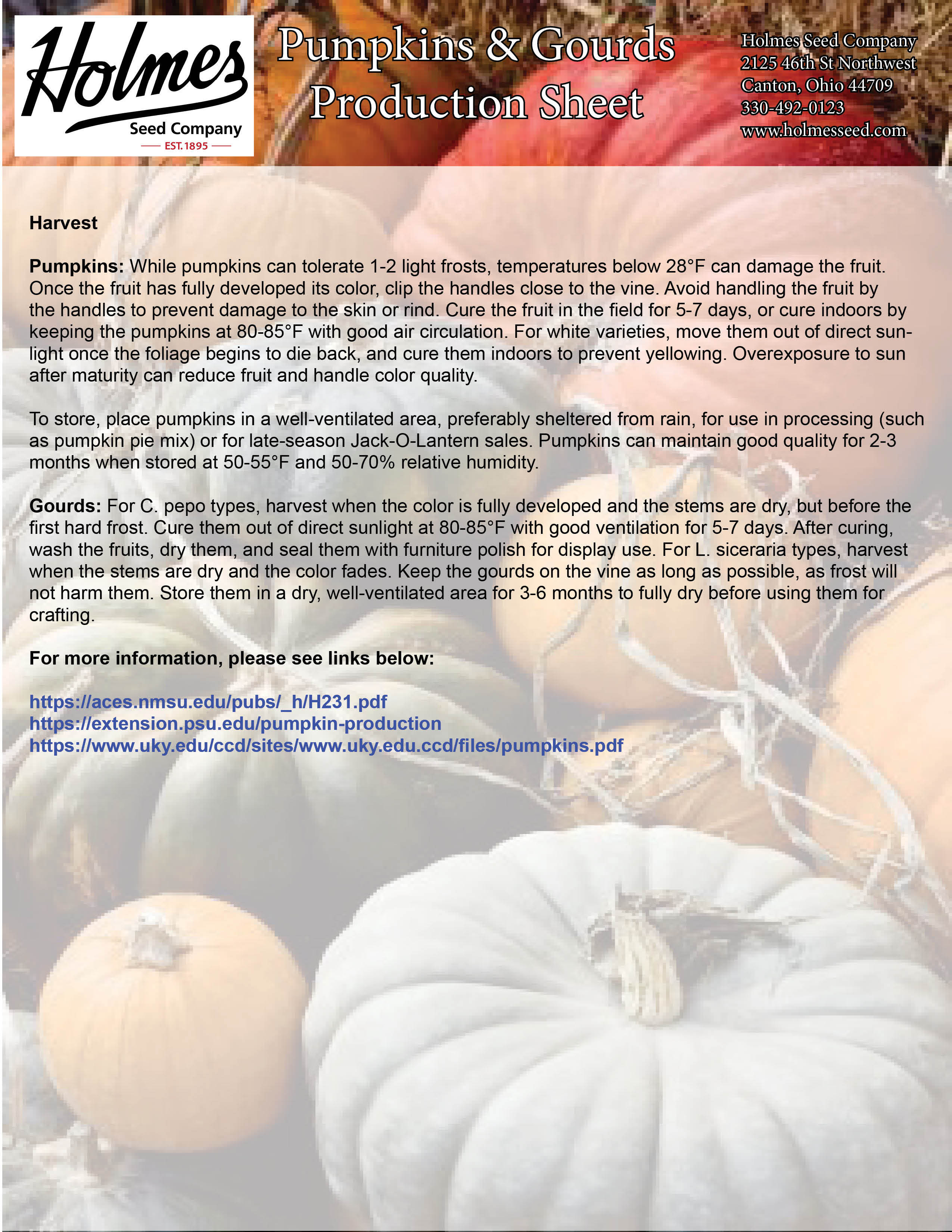 pumpkinホワイト キャビネット Cotton Candy Pumpkin | John Scheepers Kitchen Garden Seeds