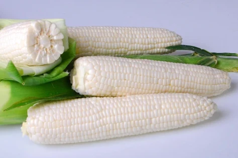 White sweet corn kernels