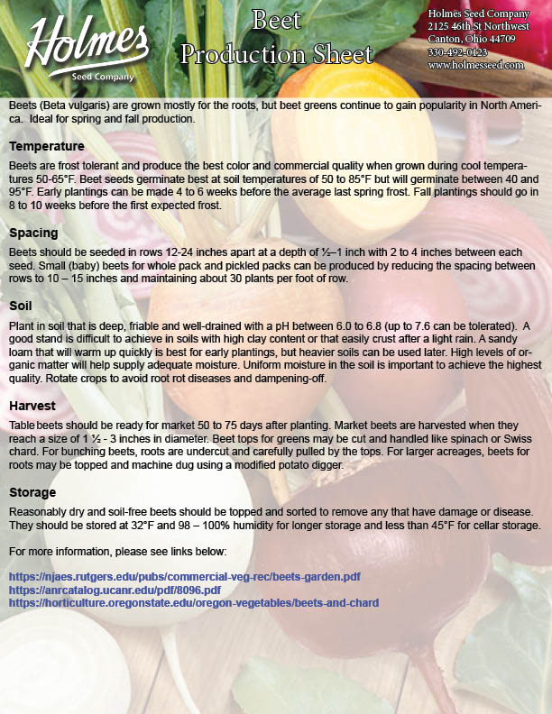 Ruby Queen Beet Seeds Holmes Seed Company