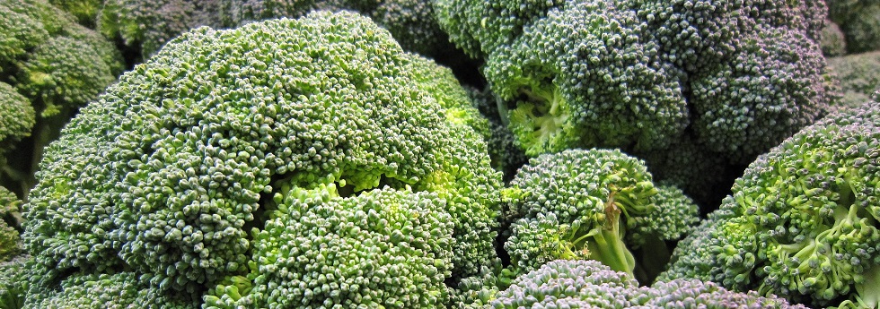 broccoli-category-1.jpg