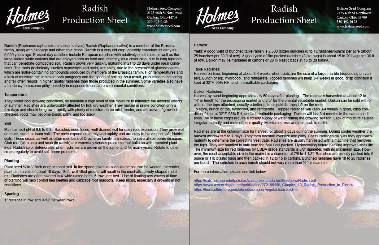 Fireball F1 Radish Holmes Seed Company