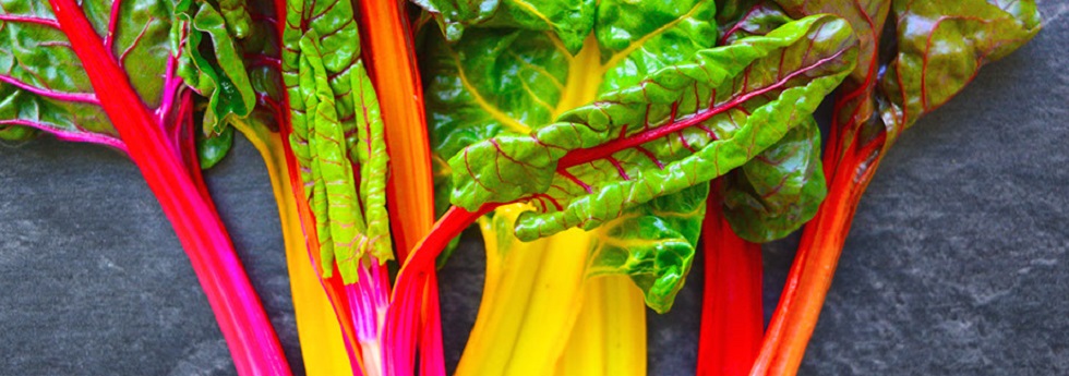 Vegetables - Swiss Chard - Holmes Seed Company