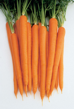 Carrot OP08 Nimbus Carrot – KaizokuKards