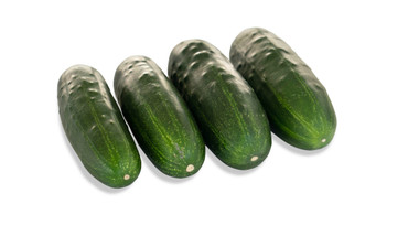 【cucumber】 1486_Super_Max_MO_Cucumber_pic
