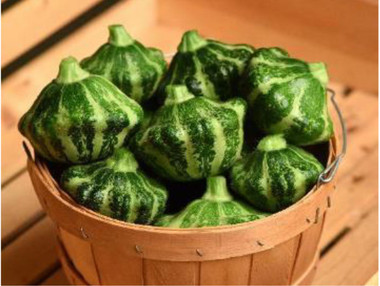 3741_Green_Lightning_F1_Squash