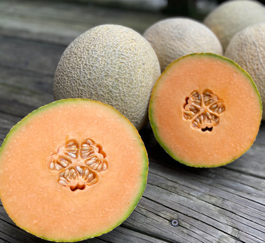 Nebula F1 Melon | Holmes Seed Company