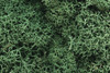 WOOL162 WOODLAND SCENICS Lichen - Light Green 86ci