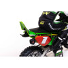 LOS06002 LOSI 1/4 Promoto-MX Motorcycle RTR with Battery and Charger, Pro Circuit