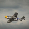 HAN2820BR HANGAR 9 P-51D Mustang 20cc ARF, 69.5" with E-Flite Electric Retract Set