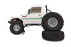 ASC40118 ASSOCIATED Enduro Bushido 1/10 Off-Road Electric 4WD RTR Trail Truck - White
