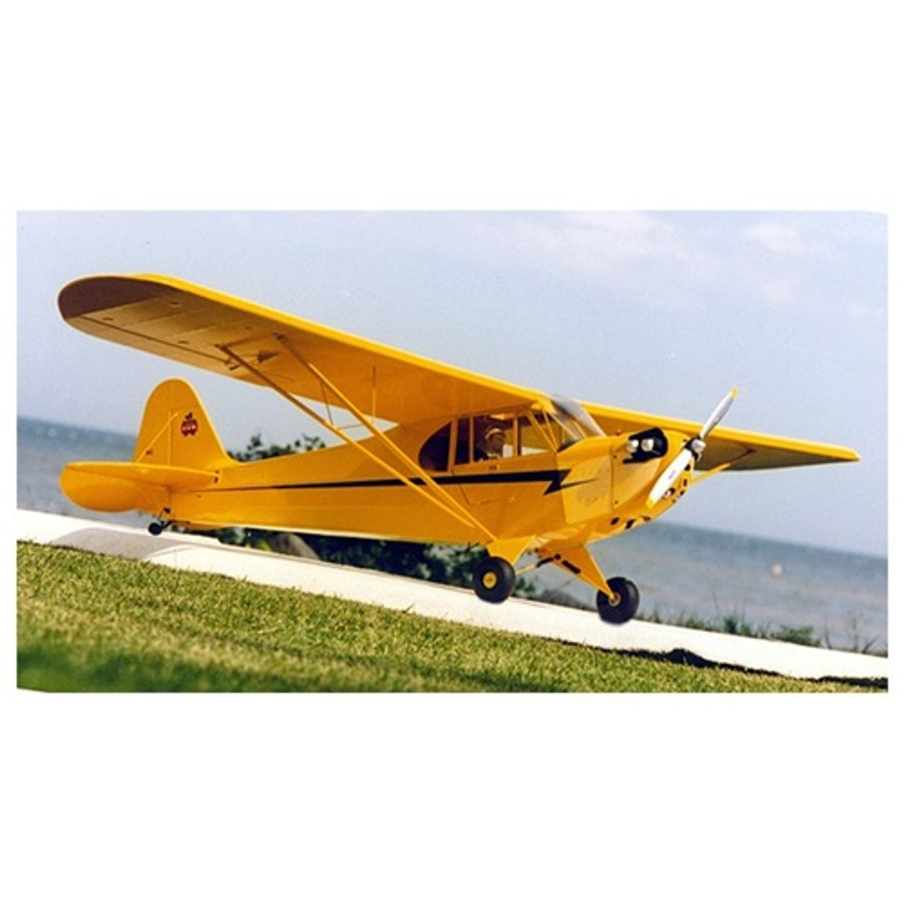 piper j 3 cub rc plane